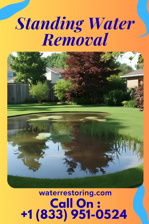 Standing Water Removal in Baldwin, GA